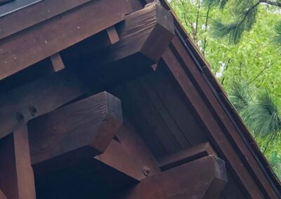 squirrel at peak of roof